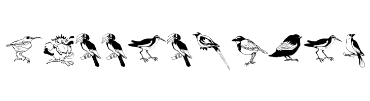 Blackbirds  Free Fonts Download