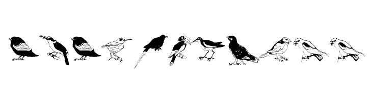 Blackbirds  Free Fonts Download