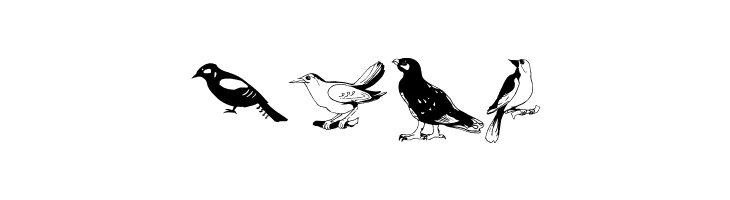 Blackbirds  Free Fonts Download