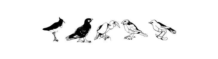 Blackbirds  Free Fonts Download