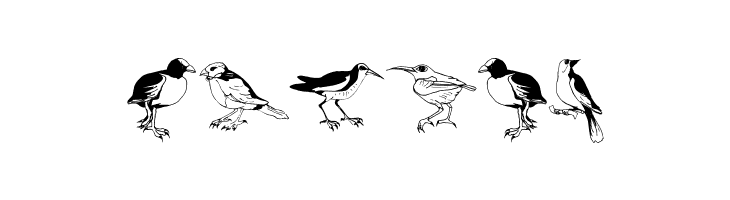 Blackbirds  Free Fonts Download