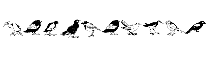 Blackbirds  Free Fonts Download