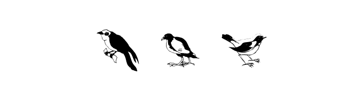 Blackbirds  Free Fonts Download