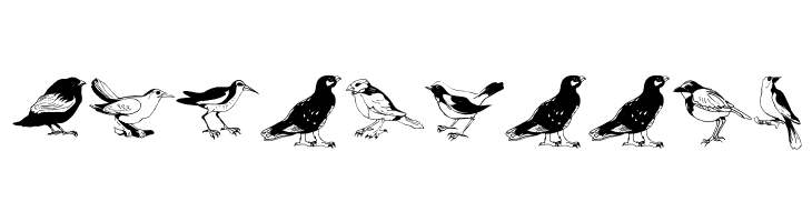 Blackbirds  Free Fonts Download
