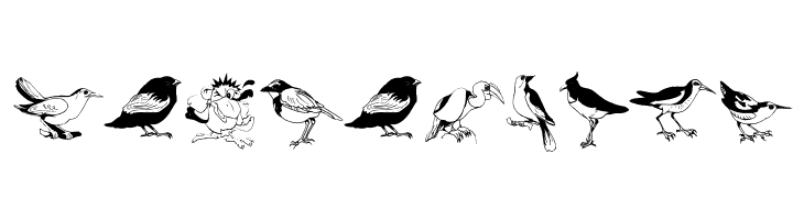 Blackbirds  Free Fonts Download