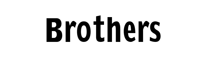 KleinsSansCondBold  Free Fonts Download