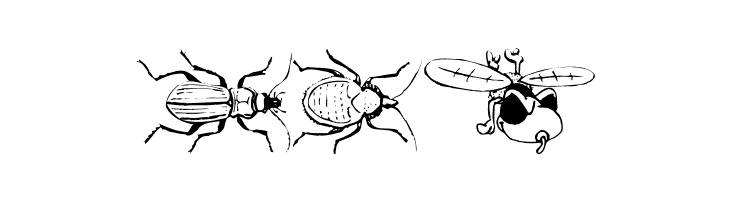 InsectsMK  Free Fonts Download