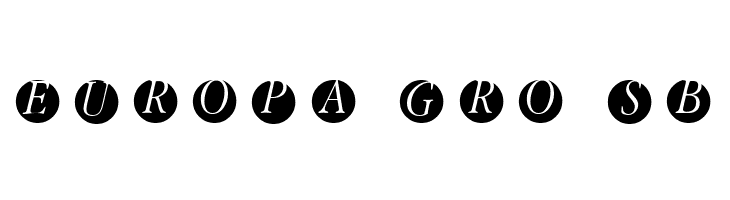 GaraNitials  Free Fonts Download