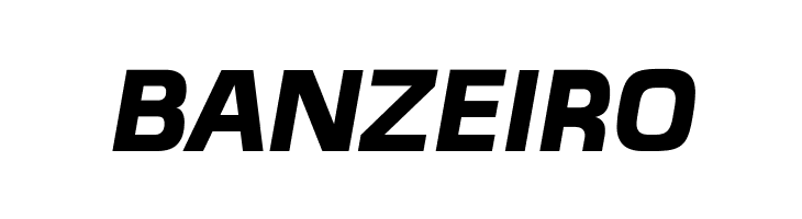 MicroFLF-BoldItalic  Free Fonts Download