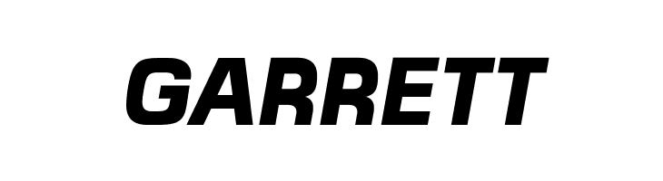 MicroFLF-BoldItalic  Free Fonts Download