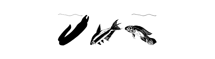FischersFritzen  Free Fonts Download