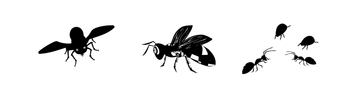 Krabbeltiere  Free Fonts Download