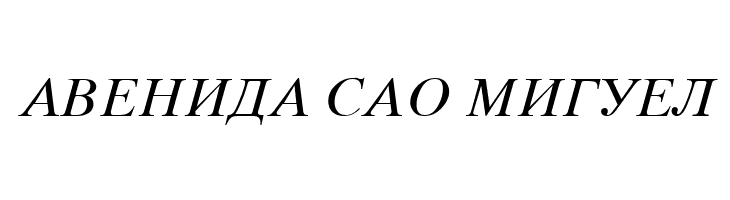 Macedonian Tms Italic  Free Fonts Download