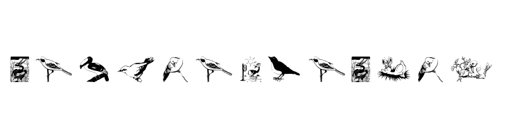 FlyBirdFly  Free Fonts Download