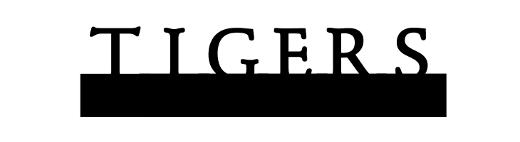 MonoSerifBased70  Free Fonts Download