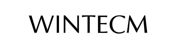 ÁnhMinh 1.1  Free Fonts Download