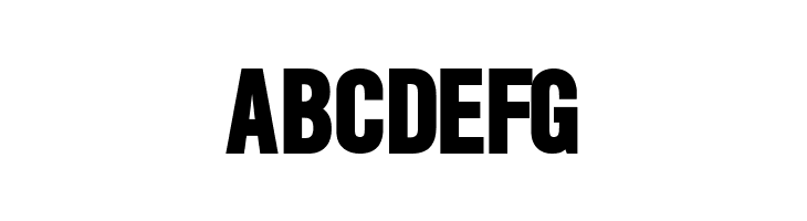 SlimSansSerif-Bold  Free Fonts Download
