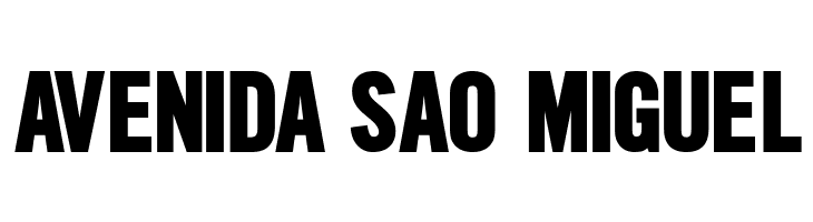 SlimSansSerif-Bold  Free Fonts Download