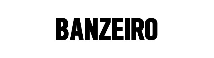 SlimSansSerif-Bold  Free Fonts Download