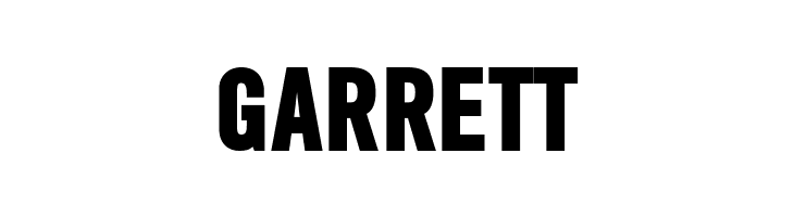 SlimSansSerif-Bold  Free Fonts Download