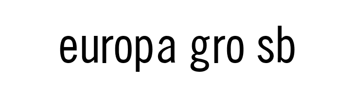 SlimSansSerif  Free Fonts Download