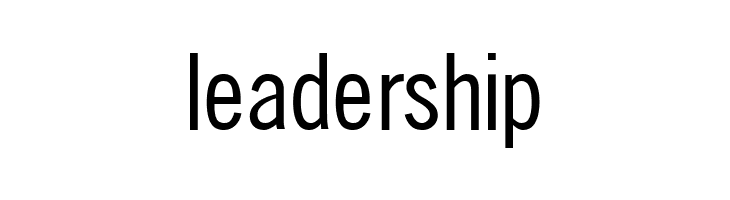 SlimSansSerif  Free Fonts Download