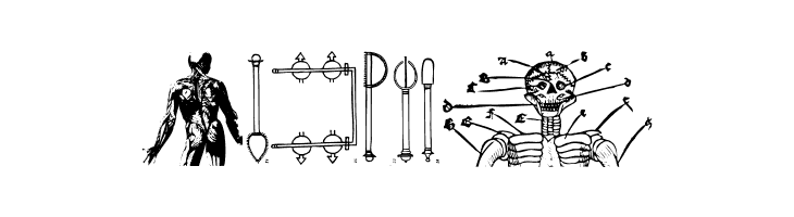 HistoricMedicineBats  Free Fonts Download