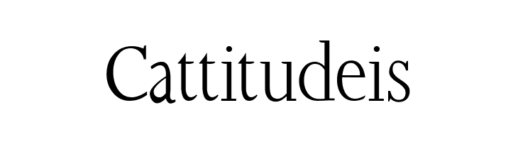 SlabRoundSerif-Light  Free Fonts Download