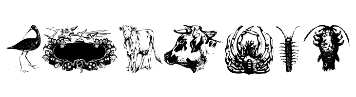 Zoological  Free Fonts Download