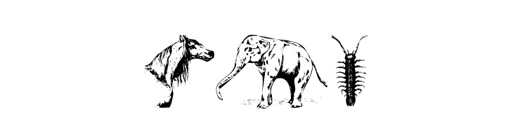 Zoological  Free Fonts Download