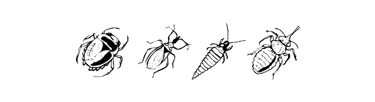 LittleFriendsTwo  Free Fonts Download