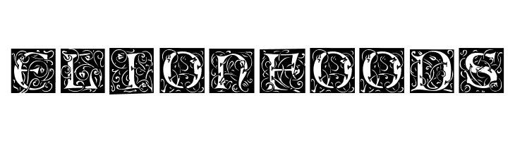 Eileen Caps Regular  Free Fonts Download