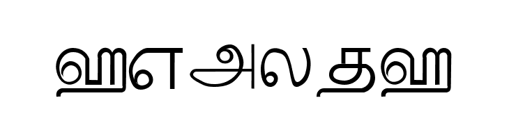 Palladam Medium  Free Fonts Download