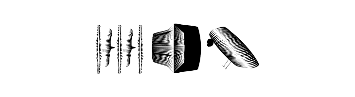 BookBeings  Free Fonts Download