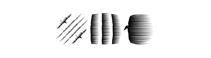 BookBeings  Free Fonts Download