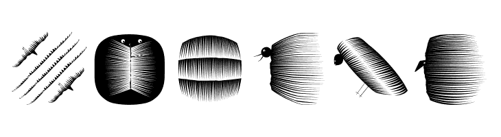 BookBeings  Free Fonts Download