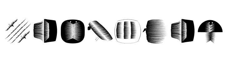 BookBeings  Free Fonts Download