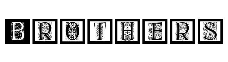 DelitzschCaps  Free Fonts Download