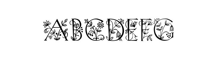 Koch Initialen  Free Fonts Download