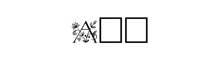 Koch Initialen  Free Fonts Download