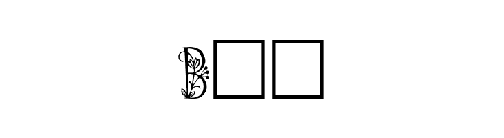 Koch Initialen  Free Fonts Download