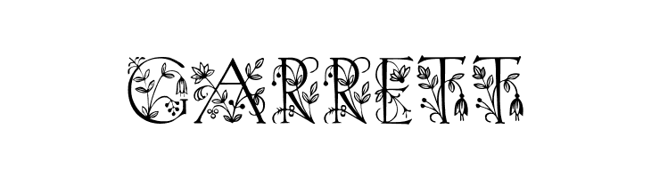 Koch Initialen  Free Fonts Download