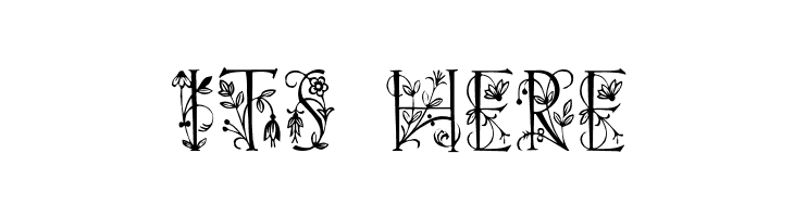 Koch Initialen  Free Fonts Download