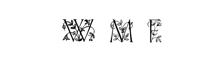 Koch Initialen  Free Fonts Download