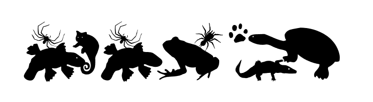 LetsDance  Free Fonts Download