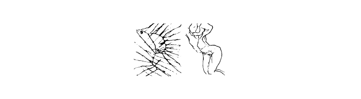 ArteNero  Free Fonts Download