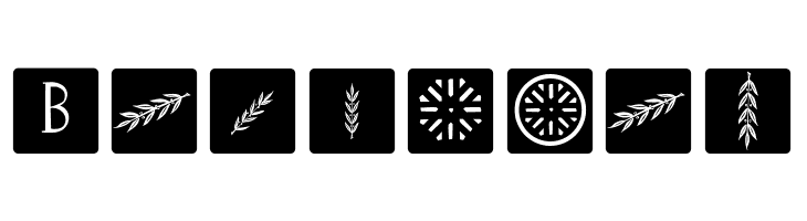 RomanaCapsClassicSquares  Free Fonts Download