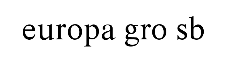 XSerif Old Russian  Free Fonts Download