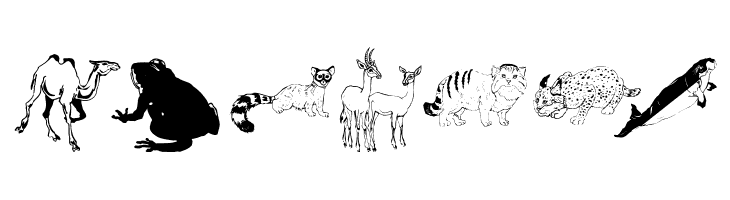 Djungle  Free Fonts Download