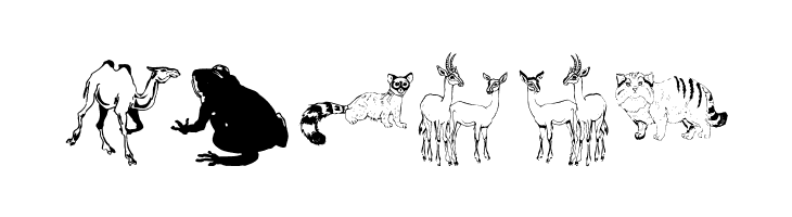 Djungle  Free Fonts Download